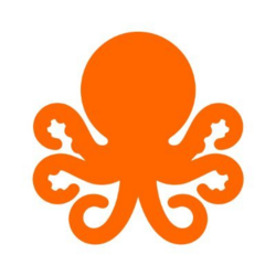 OPENUSDT